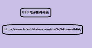 B2B 电子邮件列表